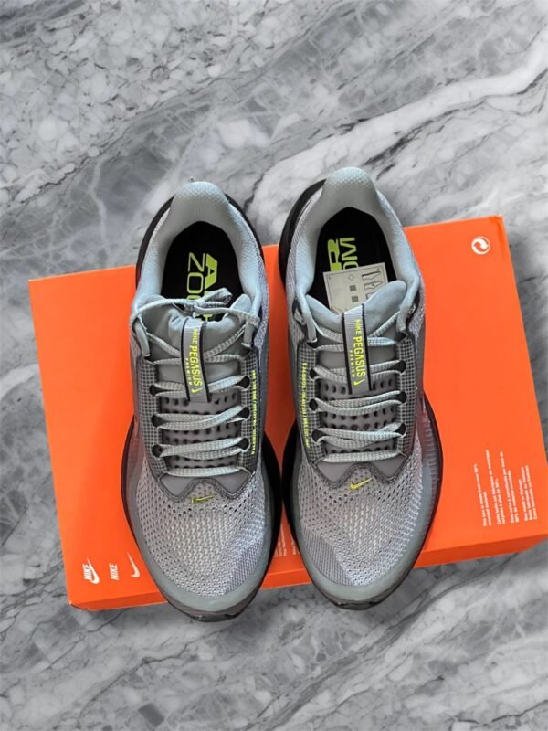 Nike Pegasus Premium
