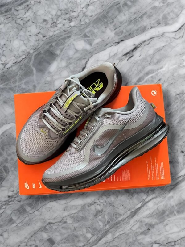 Nike Pegasus Premium
