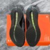 Nike Pegasus Premium